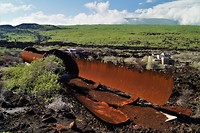 Galapagos deel 2 - 48