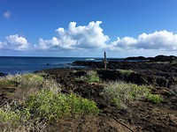 Galapagos deel 2 - 52