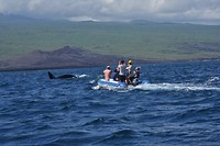 Galapagos deel 2 - 56