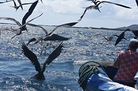 Galapagos deel 2 - 61