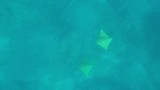 Galapagos deel 2 - in en op het water