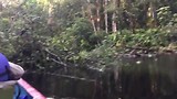 Amazone Ecuador