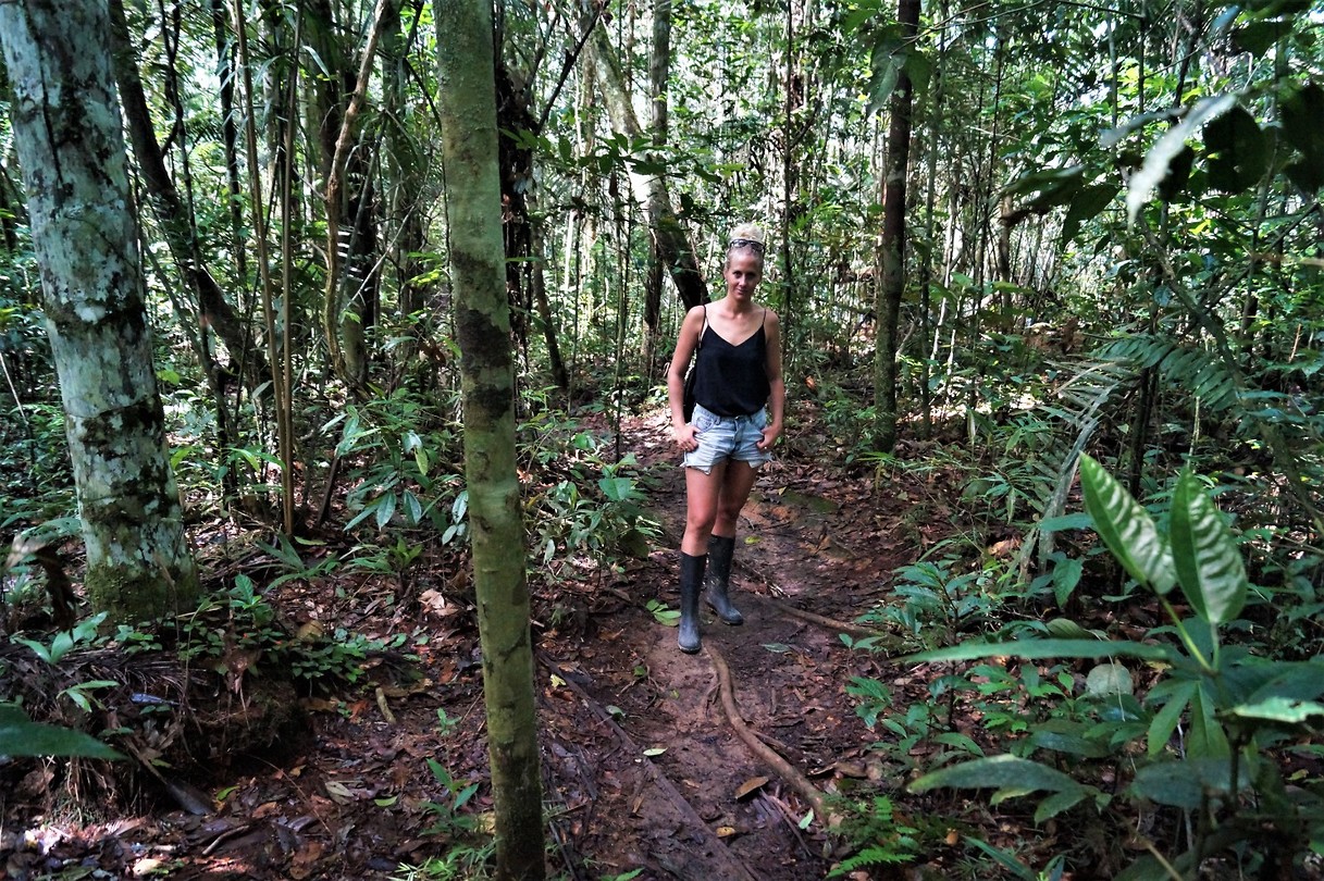 Amazone 30