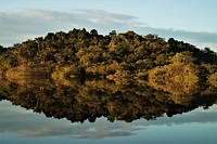 Amazone 48