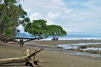 Costa Rica 41 . 2