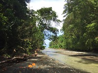 Costa Rica 44