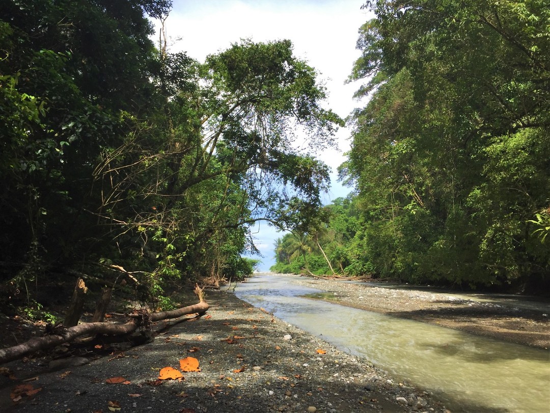 Costa Rica 44
