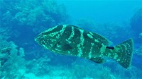 Mexico Belize Guatemala 35
