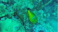 Mexico Belize Guatemala 36