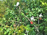 Mexico Belize Guatemala 41