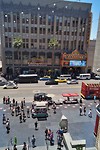 DSC06591 (2)