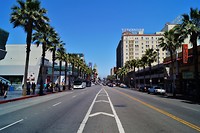 DSC06627 (2)