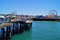 DSC06706 (2)