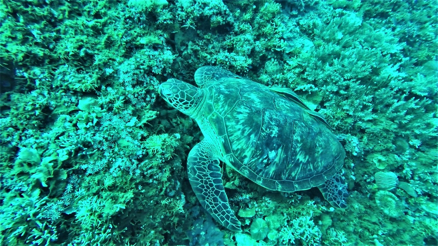 Indonesië Java & Lombok Foto's Travel the Dream