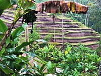Indonesië Nusa & Bali 49