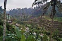 Indonesië Nusa & Bali 50