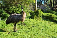 Australië Roadtrip deel 3 Great Ocean Road 11