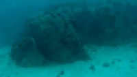Diving japanese garden 11meters Koh Tao