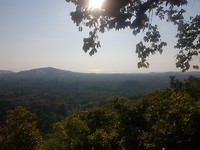 16. Viewpoint