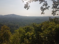 17. Viewpoint