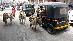 Taxi - Udaipur