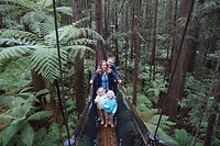 The Redwoods