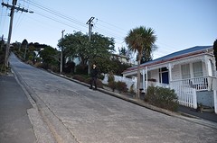 DSC_0698