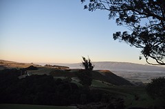 DSC_0719