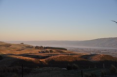 DSC_0724