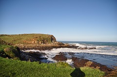 DSC_0771
