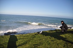 DSC_0781