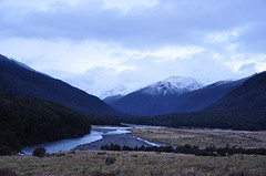 DSC_0534
