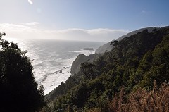 DSC_0649
