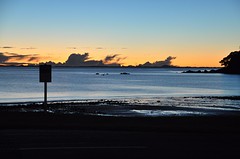 DSC_0291