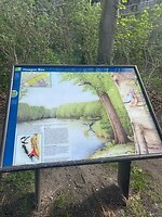 IMG_0786