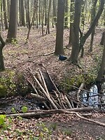 IMG_0788