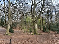IMG_0793