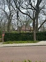 IMG_0795