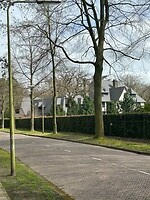 IMG_0799