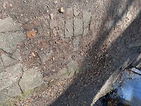 IMG_0801