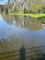 IMG_0802