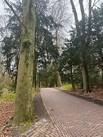IMG_0821