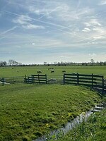 IMG_0839