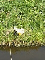 IMG_0840