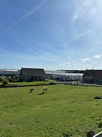 IMG_0841
