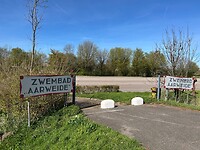 IMG_0855