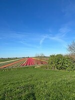 IMG_0867