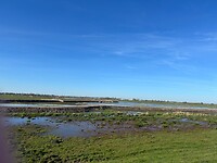 IMG_0870