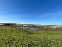 IMG_0871