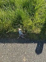 IMG_0872